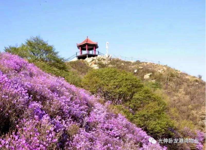 彩运网(中国游)官方网站