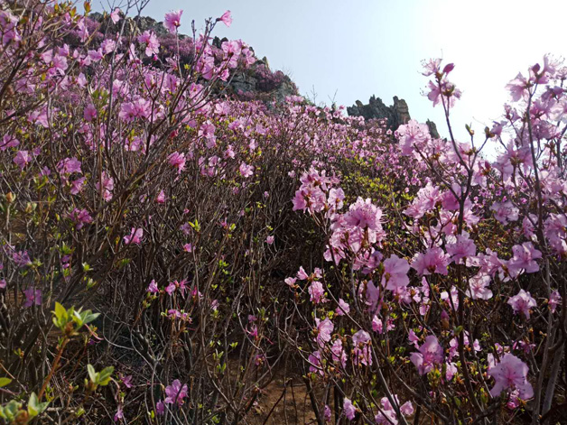 彩运网(中国游)官方网站