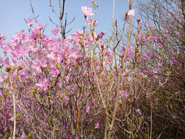 彩运网(中国游)官方网站
